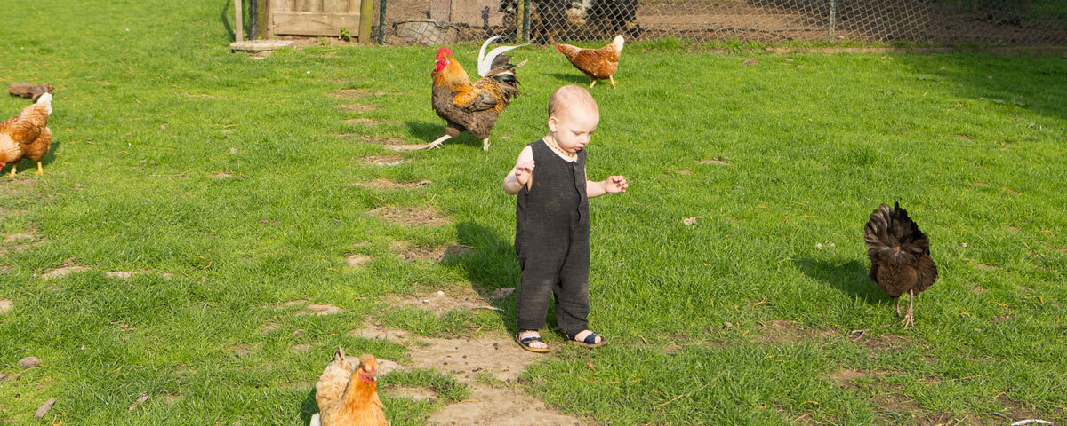 Kind met kippen in de natuur