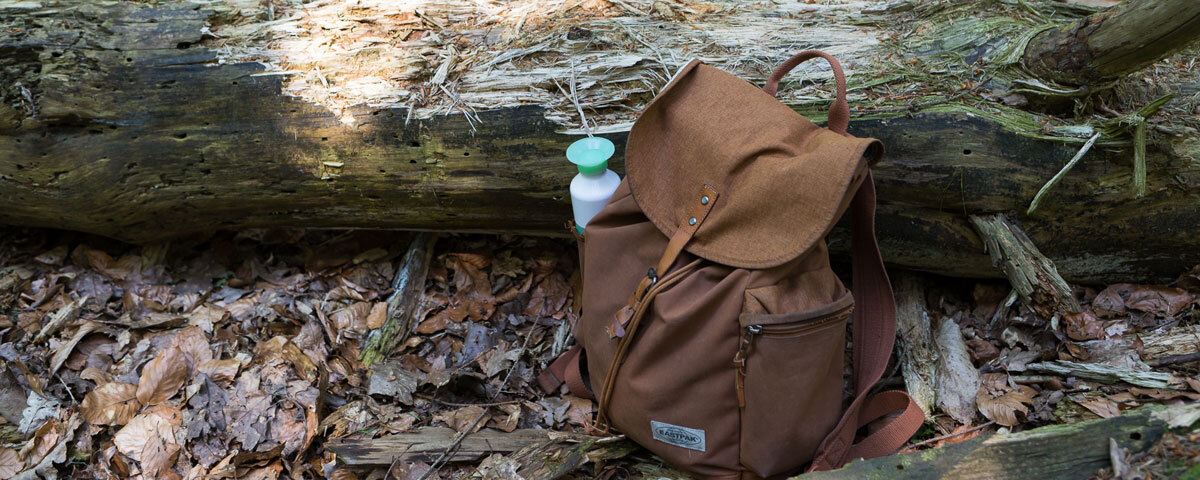 Backpack in the woods