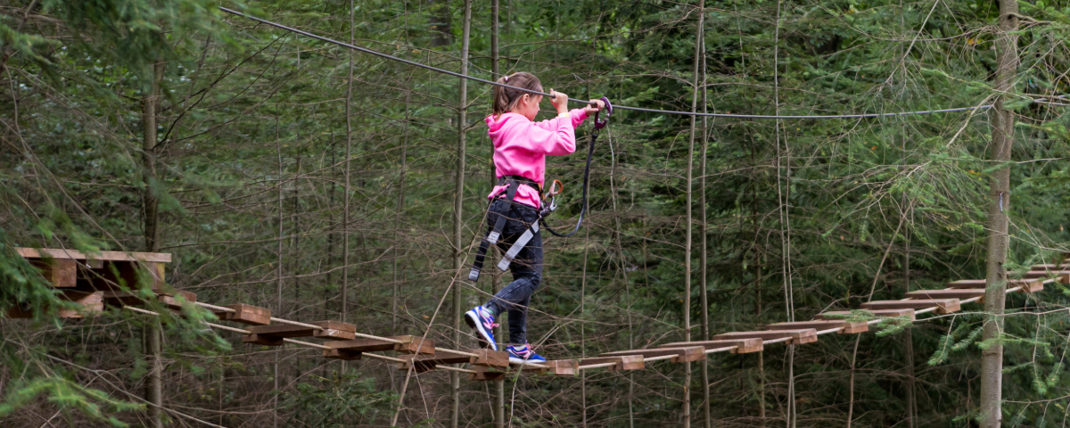 Klimbos voor kinderen in de Veluwe
