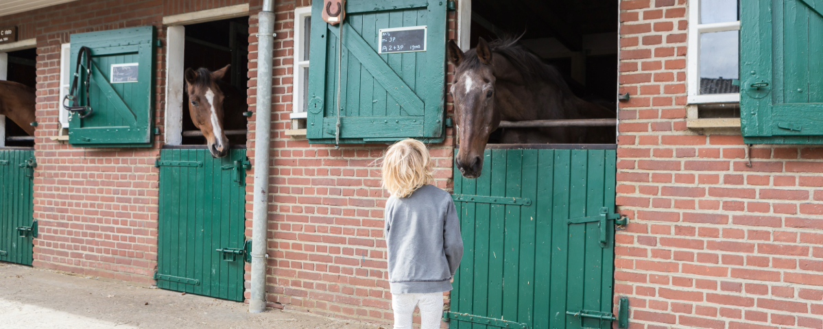 Kinderactiviteiten in Soest paarden knuffelen