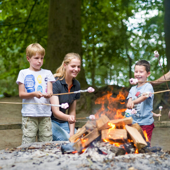 Scholen & Groepen