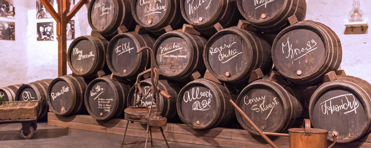 🍷 Duik in de wereld van wijn @ Nederlands Wijnmuseum, Arnhem | Stayokay